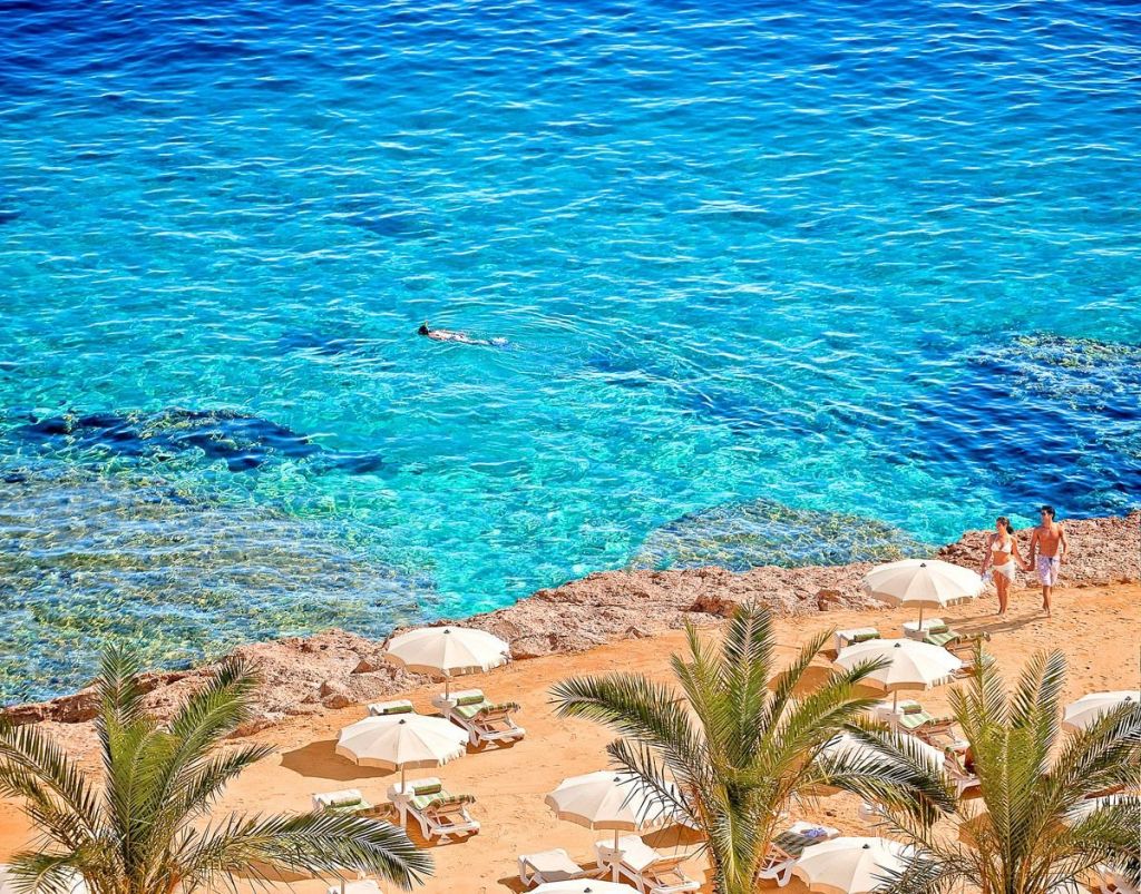 ⭐ აქცია! ეგვიპტე !