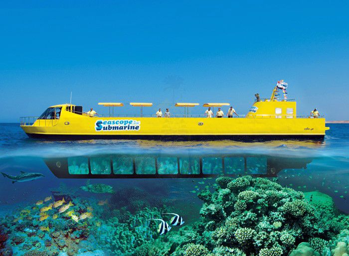 ⭐ აქცია! ეგვიპტე !