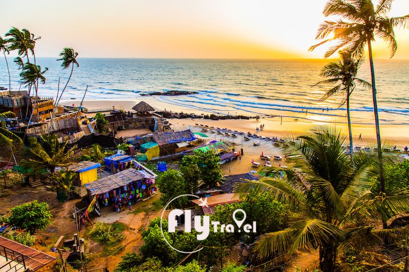 ყველა გოაზე!დაჯავშნეთ დღესდა შეხვდით შობას გოაზე!