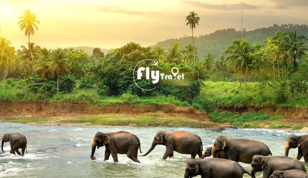 შრი ლანკა დაუვიწყარი მოგზაურობა