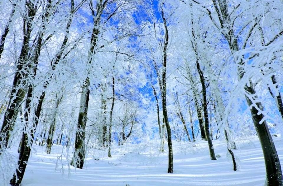 საბადურის თეთრ-ზღაპარ ტური ! სულ ლ ა რ ა დ ! ! ! ! საუკეთესო ფასად ! თებერვალს !