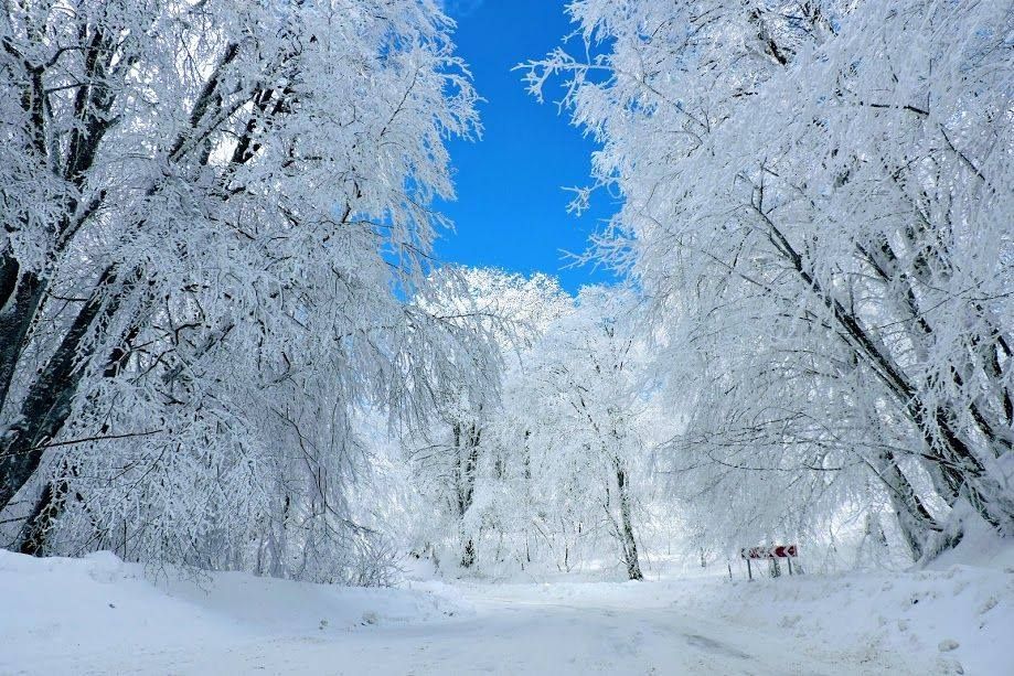 საბადურის თეთრ-ზღაპარ ტური ! სულ ლ ა რ ა დ ! ! ! ! საუკეთესო ფასად ! თებერვალს !