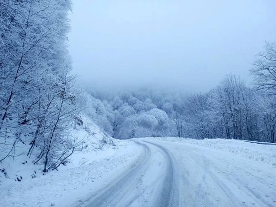 საბადურის თეთრ-ზღაპარ ტური ! სულ ლ ა რ ა დ ! ! ! ! საუკეთესო ფასად ! თებერვალს !