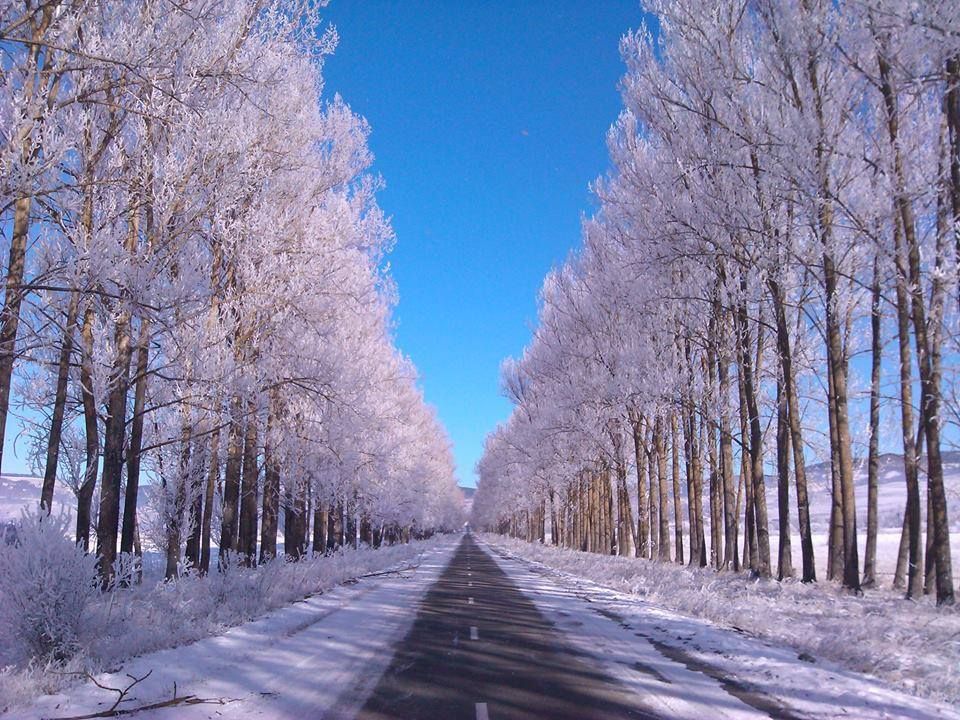 საბადურის თეთრ-ზღაპარ ტური ! სულ ლ ა რ ა დ ! ! ! ! საუკეთესო ფასად ! თებერვალს !