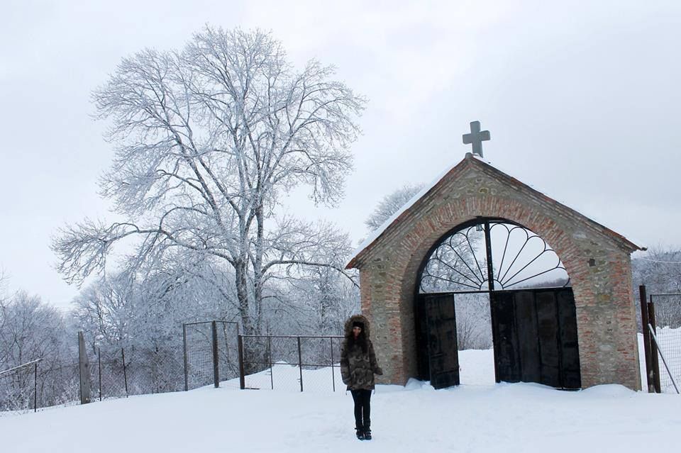 საბადურის თეთრ-ზღაპარ ტური ! სულ ლ ა რ ა დ ! ! ! ! საუკეთესო ფასად ! თებერვალს !