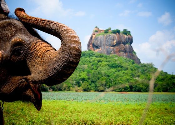 შრი ლანკა/Sri Lanka