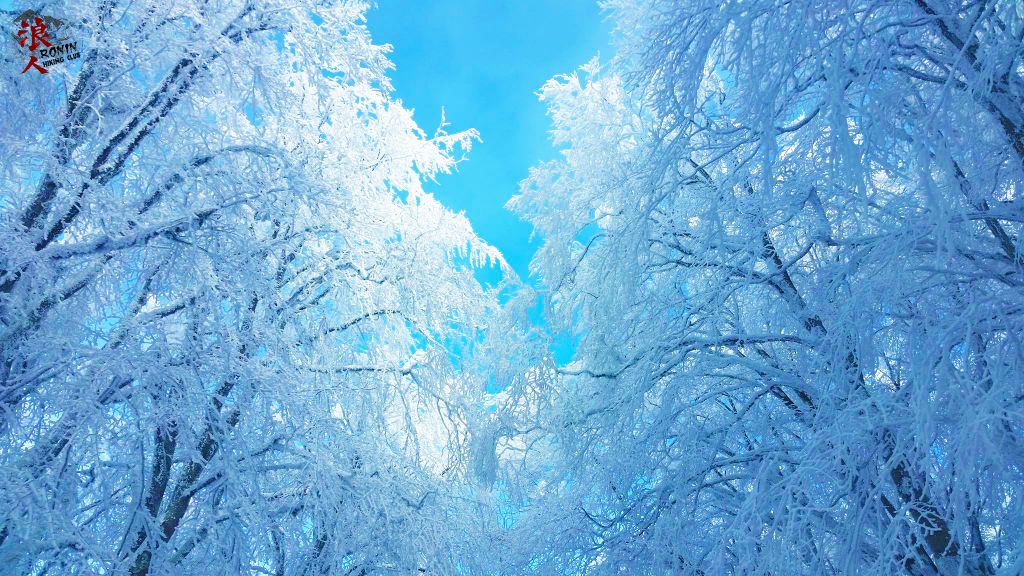 მოირონინე ზღაპრული საბადური დეკემბერს