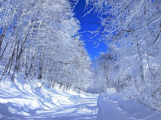 მოირონინე ზღაპრული საბადური დეკემბერს