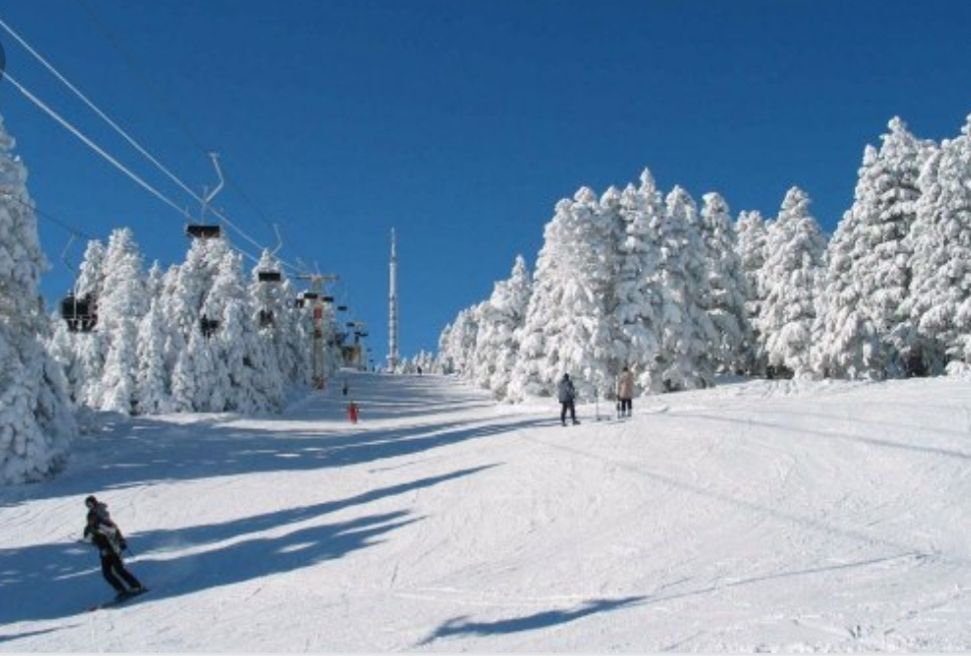 თბილისი-ბაკურიანი-ბორჯომი-თბილისი