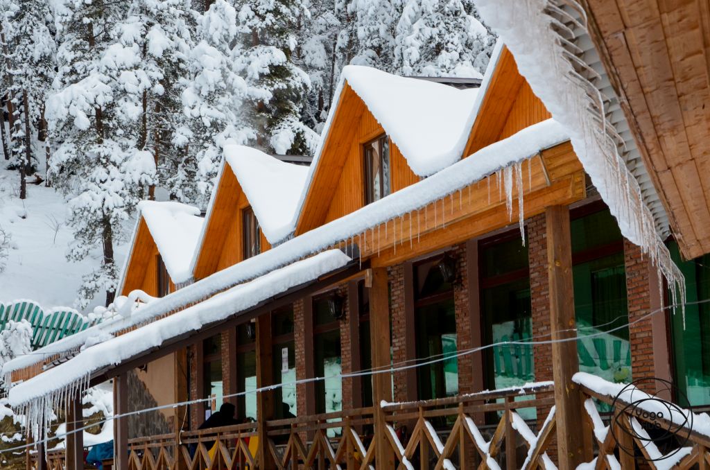 იოგას ბანაკი ბაკურიანში