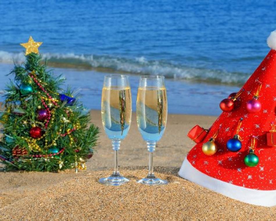 შეხვდი ახალ წელს ინდოეთში! სრული საგზური !