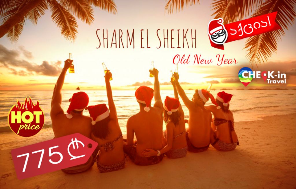 ⭐ცხელი შემოთავაზება! ეგვიპტე !