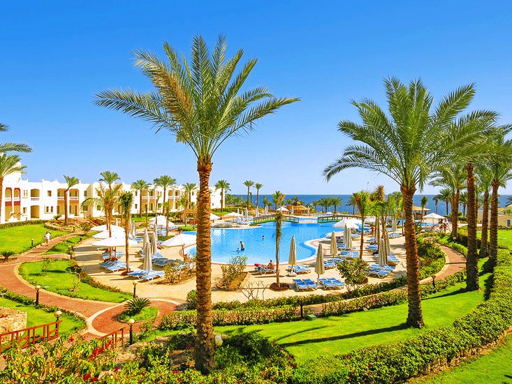 ⭐ცხელი შემოთავაზება! ეგვიპტე დან!