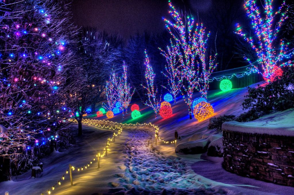 აქცია!!! ულამაზესი ბერლინი !!!