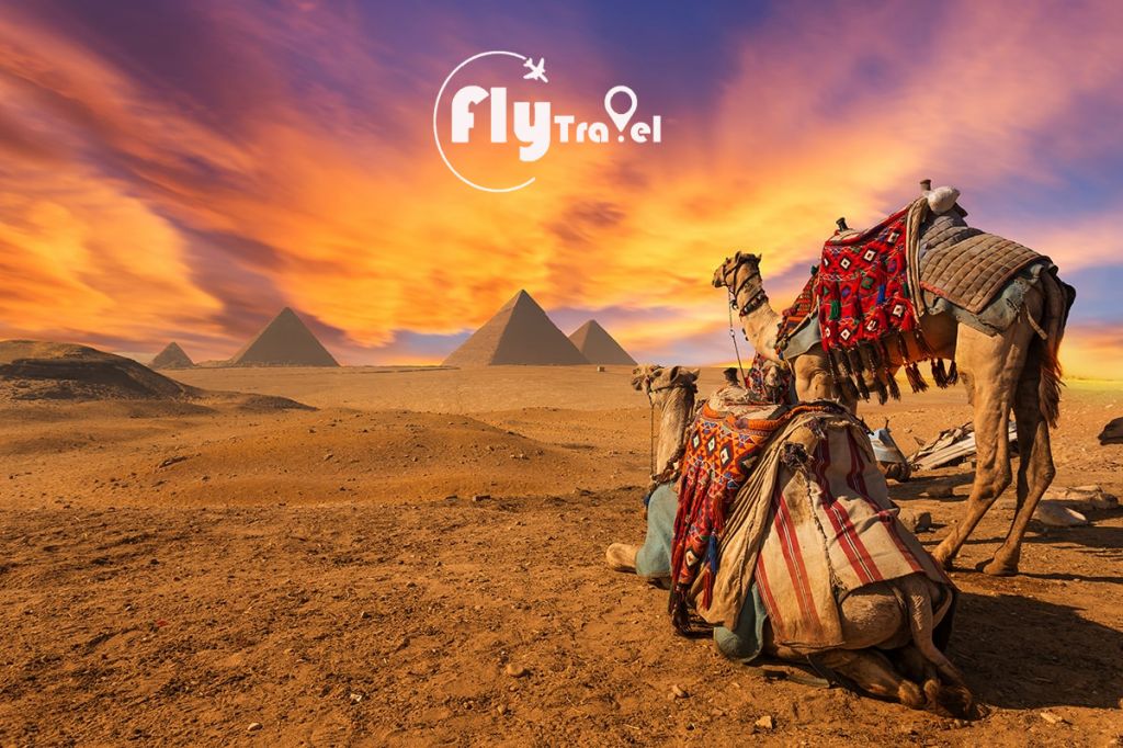 egypt  შარმ ელ შეიხი  დღის ფასი!