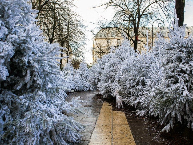 New Year In Paris / France from  Gel (include flight)