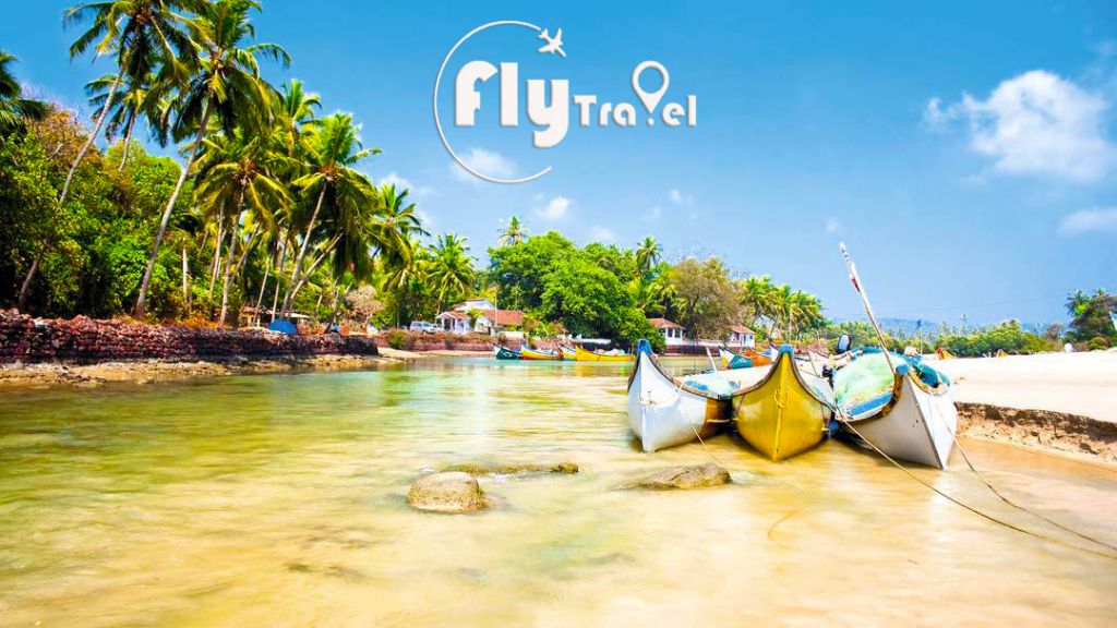 დღის შემოთავაზება! GOA /გოა