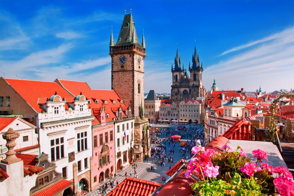 აქცია!!! დღე პრაღაში !!!