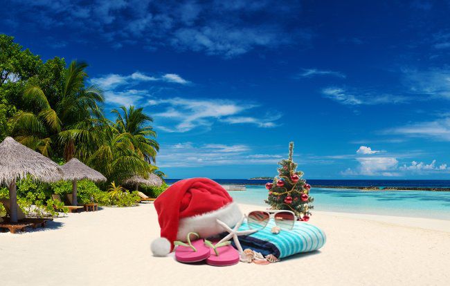 შარმ ელ შეიხი / ეგვიპტე - All Inclusive - დღე