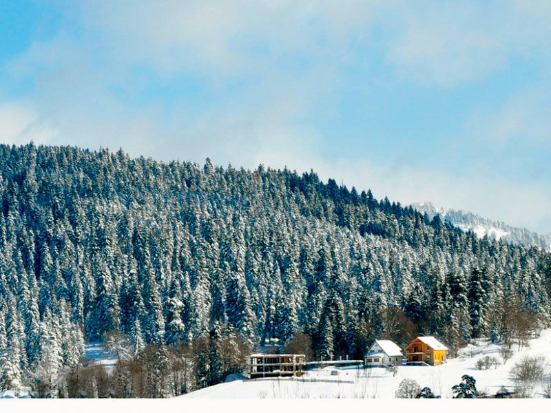 Тбилиси-боржоми-бакуриани-тбилиси