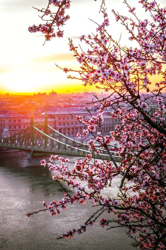 უნგრეთი-ბუდაპეშტი! სრული საგზურის ღირებულება !