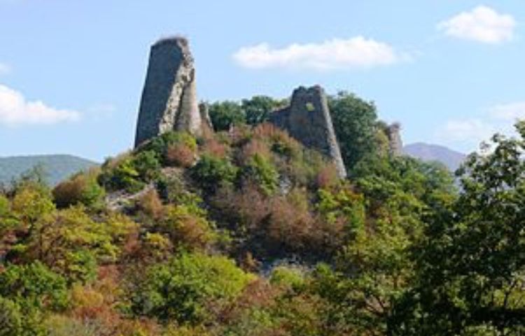 Тбилиси-кахети-тбилиси