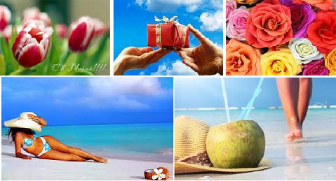 შარმ ელ შეიხი / ეგვიპტე - All Inclusive - დღე