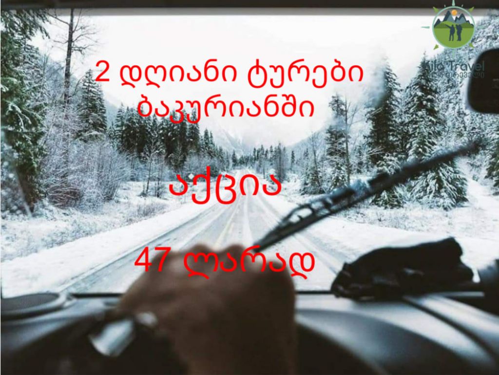 ბაკურიანის დღიანი ტურები