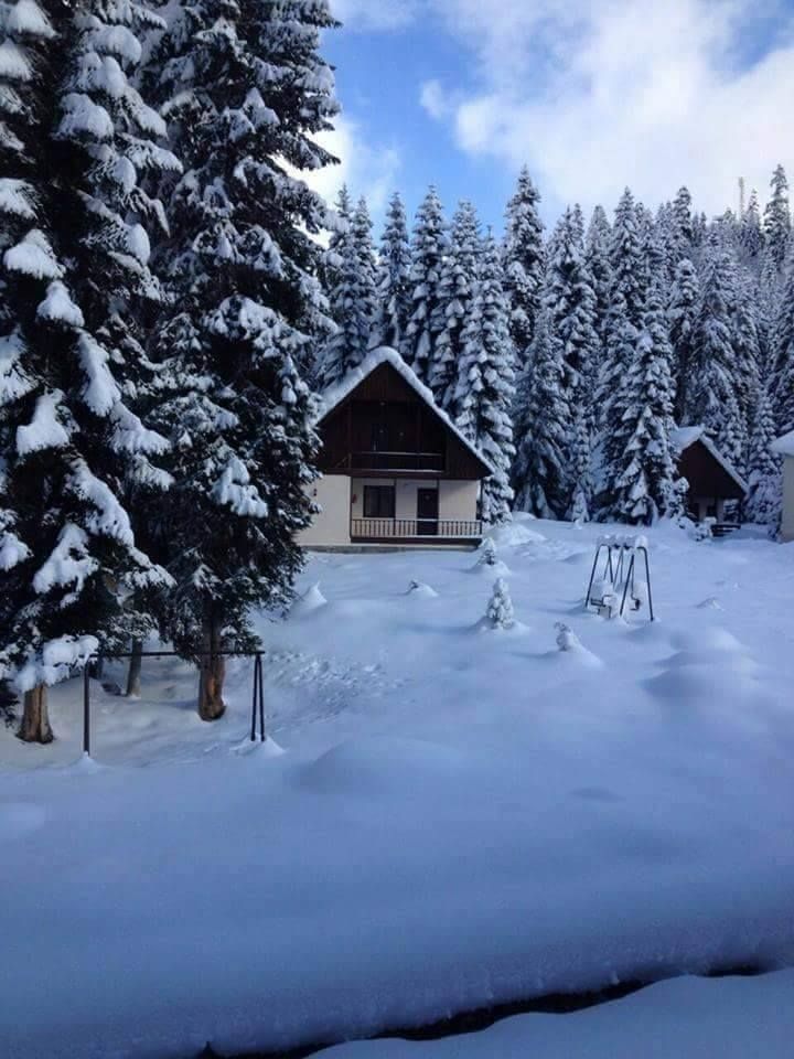 მოირონინე ზამთრის რაჭა - დაესწარი თოვლის ფესტივალს შოვში