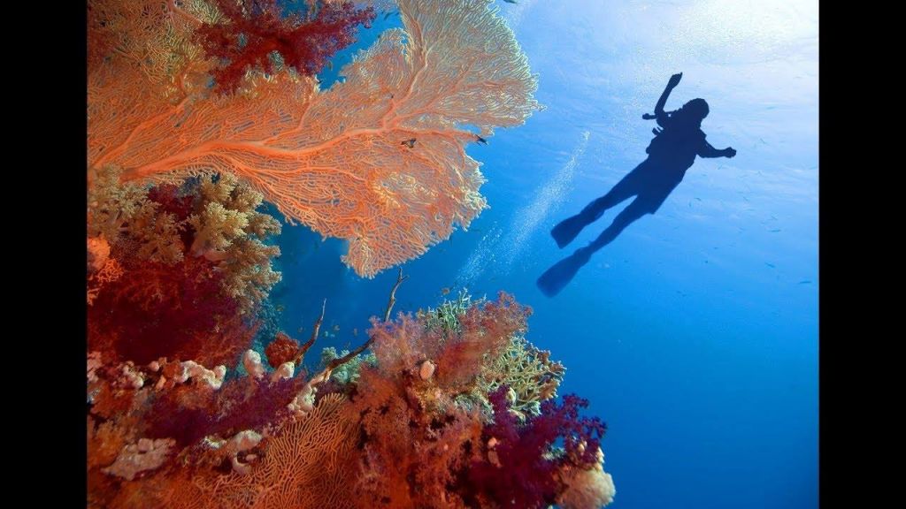 ეგვიპტე (დაიბედე მოგზაურობა <)