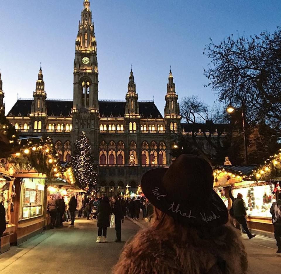 ვენის ტური დღით