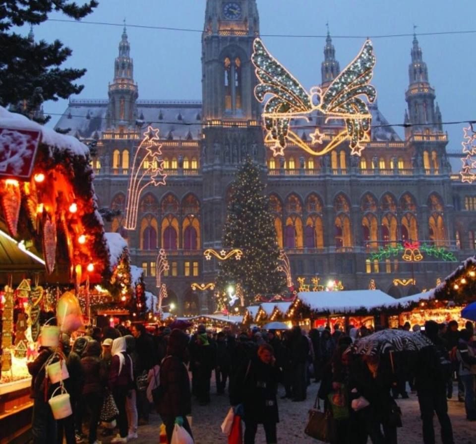 ვენის ტური დღით