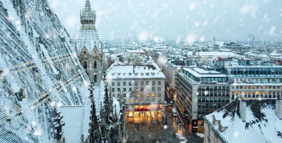 ვენის ტური დღით