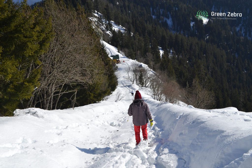 ლომის მთა