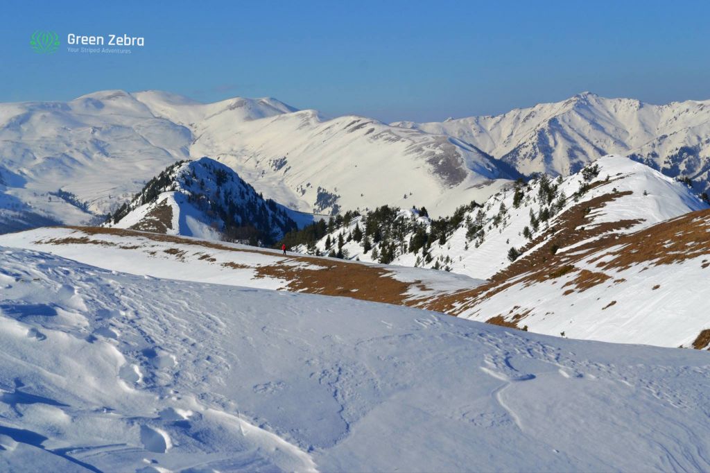 ლომის მთა