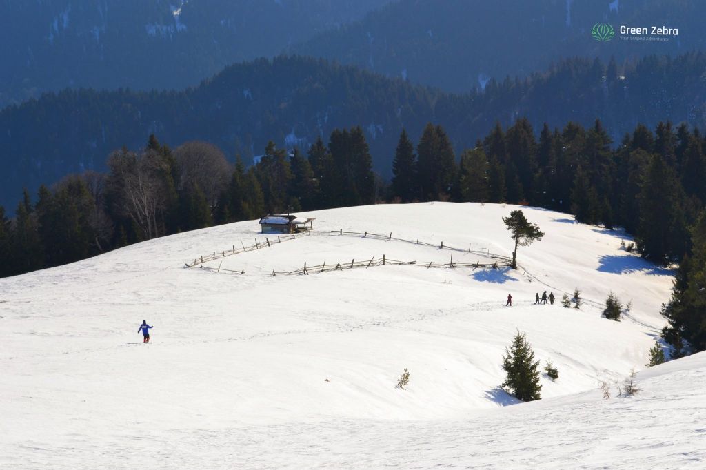 ლომის მთა