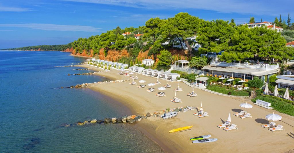 ქალკიდიკი დაუჯერებელ ფასად!