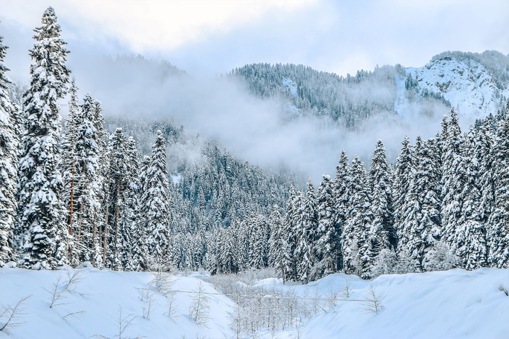 თოვლის ფესტივალი რაჭაში