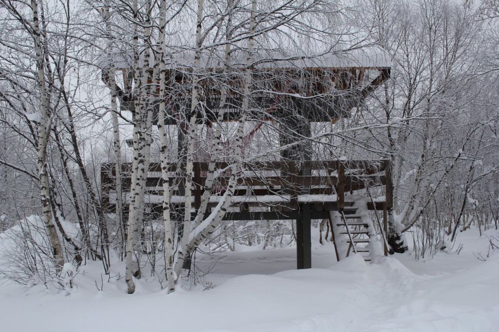 სვანეთის  დღიანი ტური -- თებერვალი