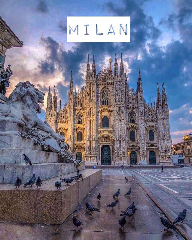 დღის შეთავაზება ! 