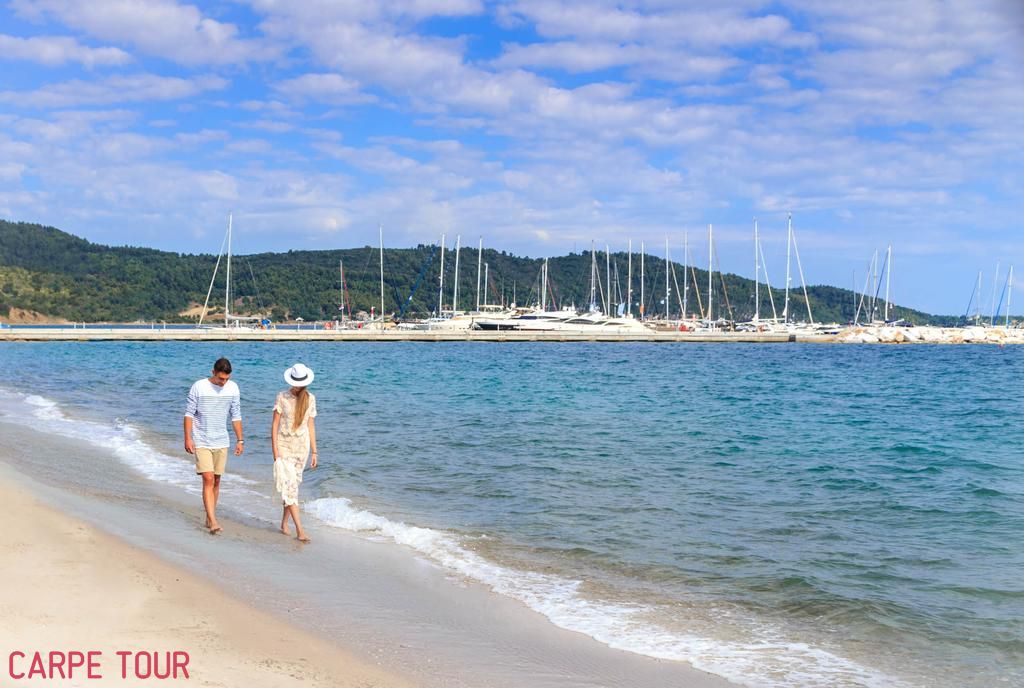 ჰალკიდი თბილისდან! ნაადრევი ჯავშნები!