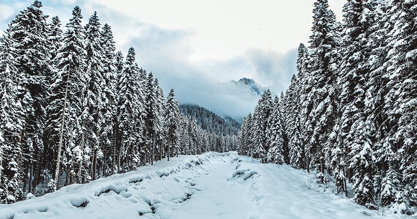 თოვლის ფესტივალი შოვში.ორდღიანი ტური