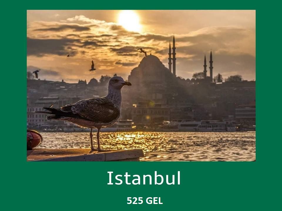 სტამბული / თურქეთი