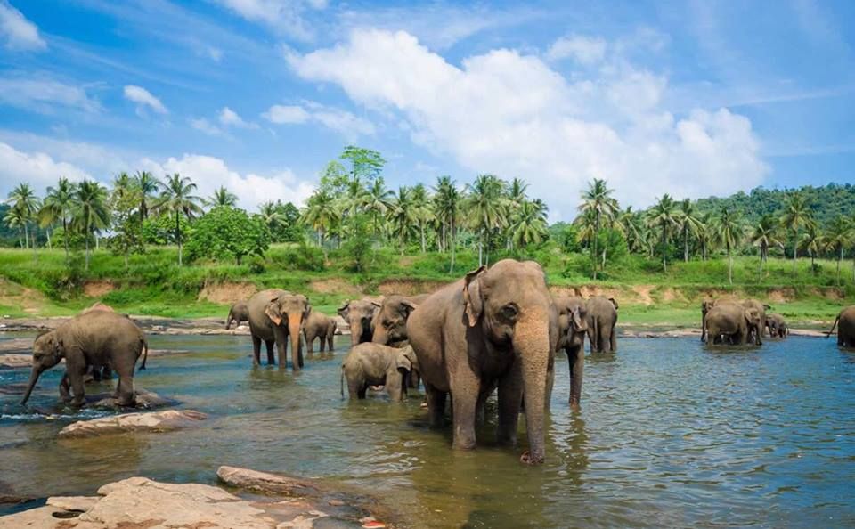 ეგზოტიკური შრი-ლანკა