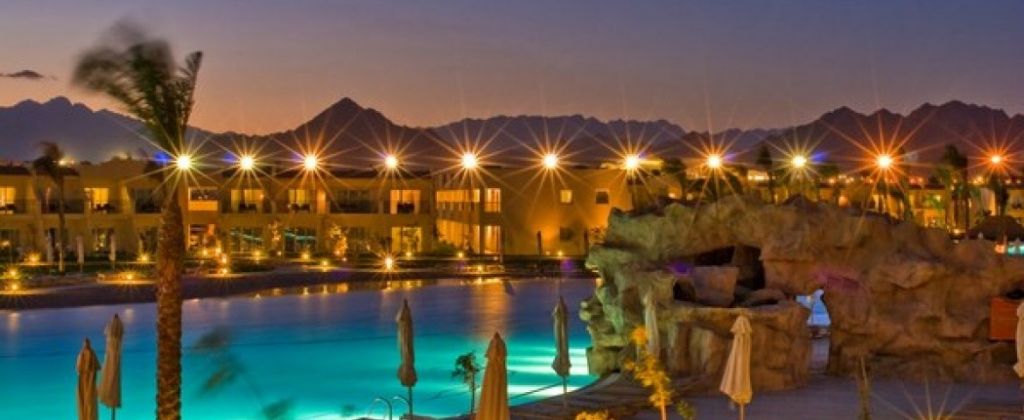 დღის აქცია! ეგვიპტე მხოლოდ