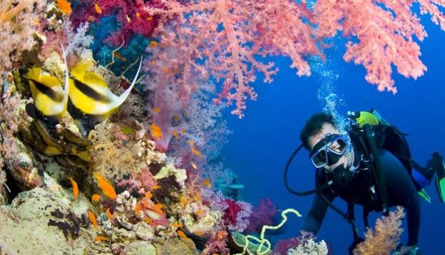 დღის აქცია! ეგვიპტე მხოლოდ