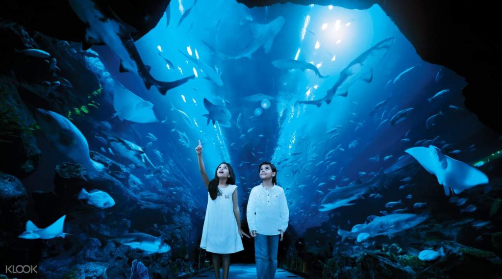 ვალენტინობა დუბაიში -