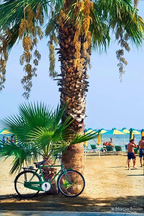 ლარნაკა