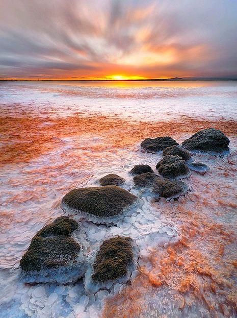 ლარნაკა