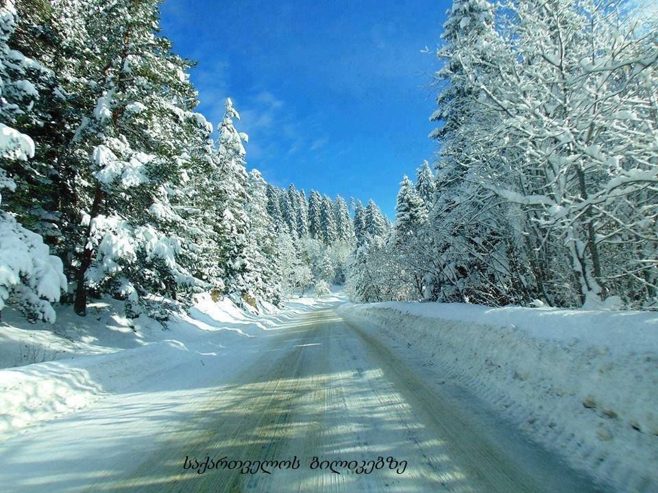 ბაკურიანი - იანვარი, შაბათი.